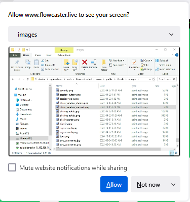 Click the Allow button