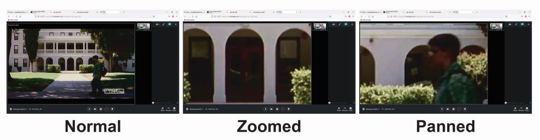 Use the mouse controls to zoom, pan and reset